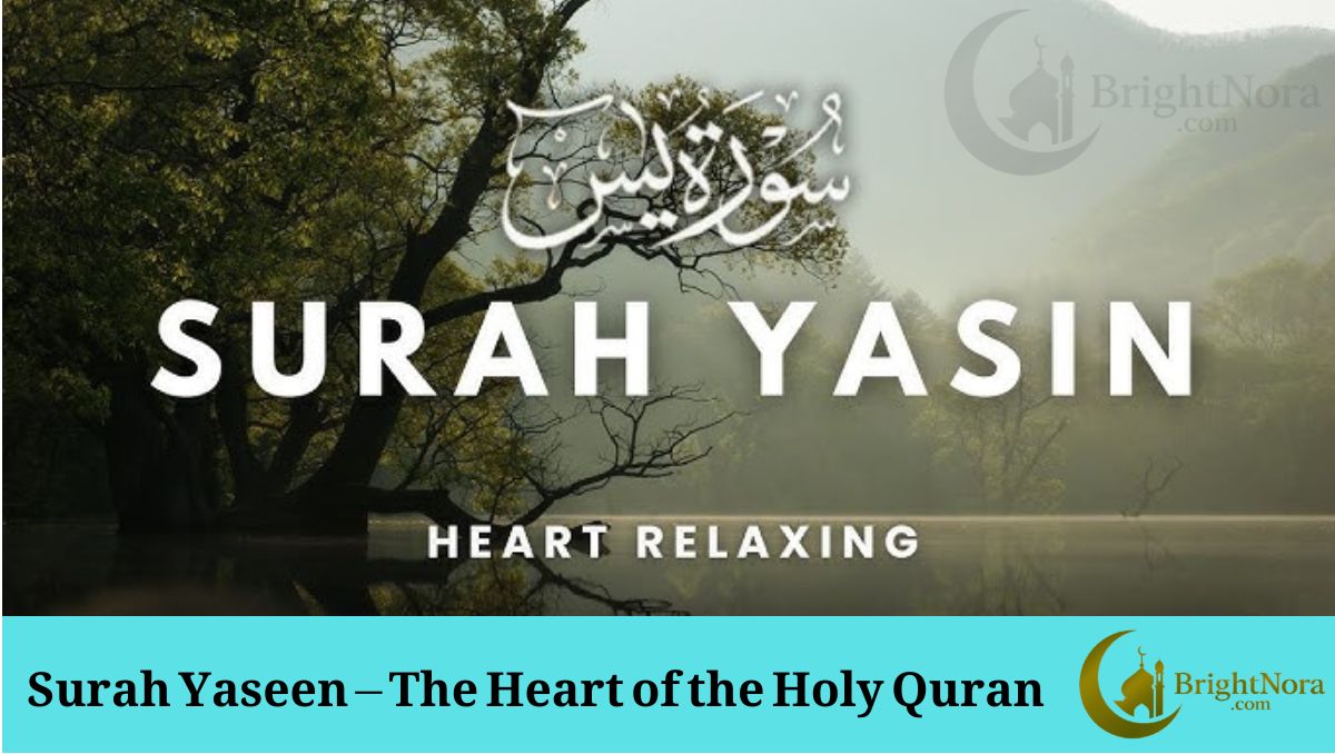 Read more about the article Surah Yaseen – The Heart of the Holy Quran
