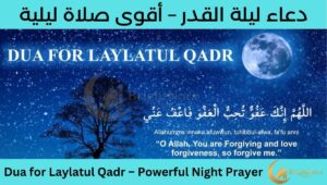 Read more about the article Dua for Laylatul Qadr – Most Powerful Night Prayer